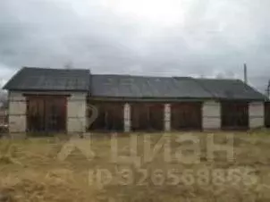 Помещение свободного назначения в Кировская область, Луза ул. ... - Фото 2