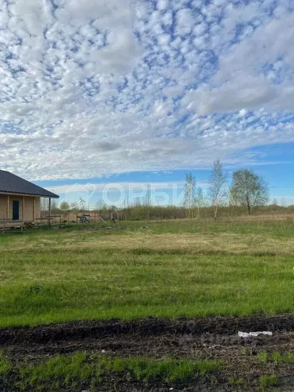 Участок в Тюменская область, Тюмень Русь садовое товарищество, ул. ... - Фото 2