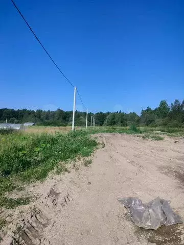 Участок 6 сот. (СНТ, ДНП) - Фото 0