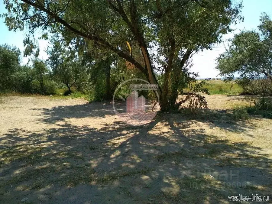 Участок в Крым, Сакский район, с. Молочное ул. Пионерская (8.0 сот.) - Фото 1