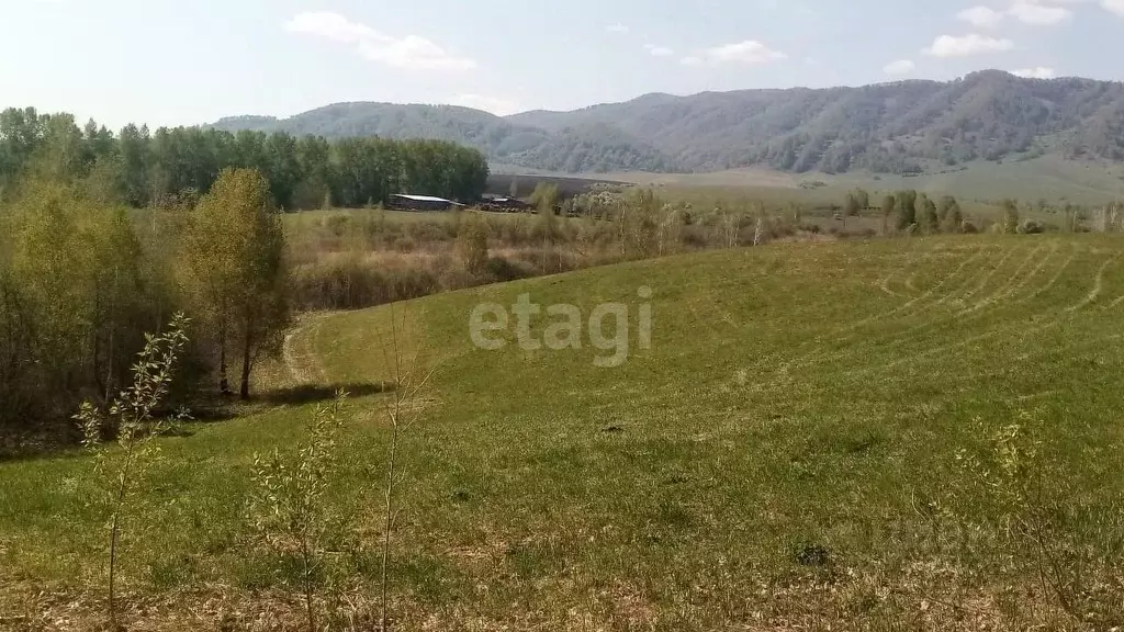 Участок в Алтайский край, Алтайский район, с. Алтайское ул. Революции ... - Фото 0