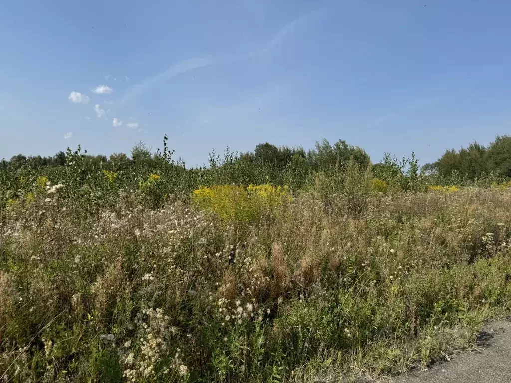 участок в московская область, воскресенск городской округ, с. юрасово . - Фото 1