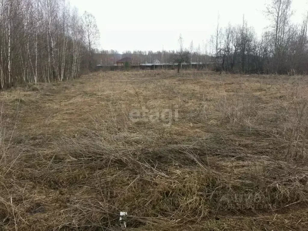 Участок в Калужская область, Дзержинский район, Совхоз Чкаловский ... - Фото 0