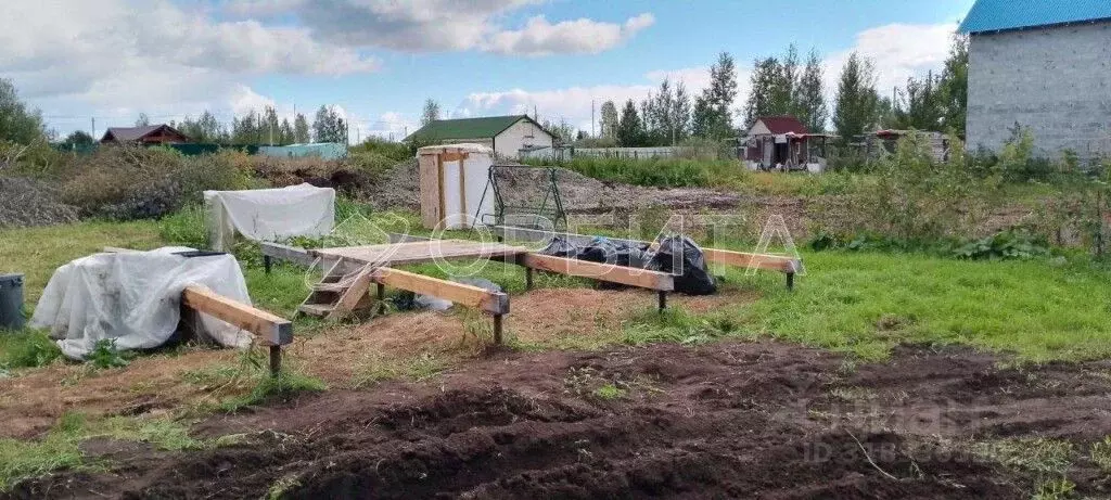 Участок в Тюменская область, Тюмень Садовое товарищество Липовый ... - Фото 0