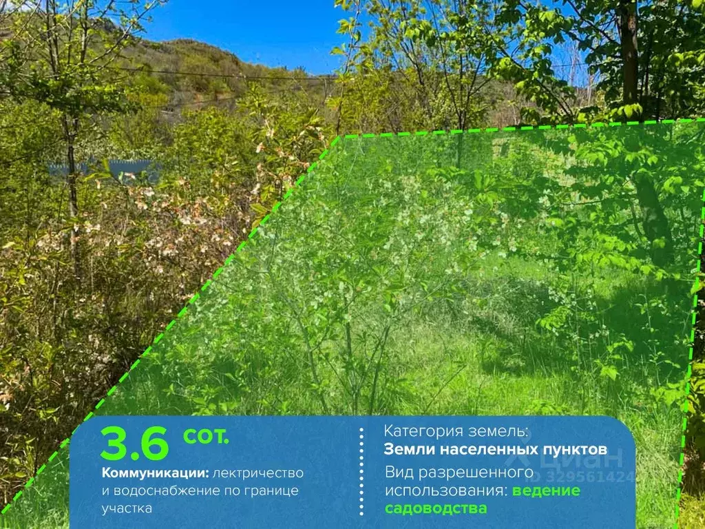 Участок в Крым, Алушта муниципальный округ, с. Лучистое, Победа СНТ  ... - Фото 2