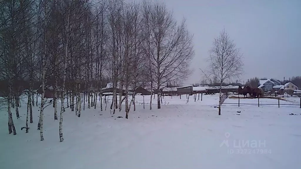 Участок в Московская область, Ступино городской округ, д. Прудно ул. ... - Фото 2