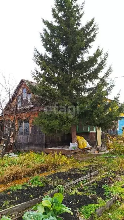 Дом в Екатеринбург, СНТ Энергия (35 м) - Фото 1