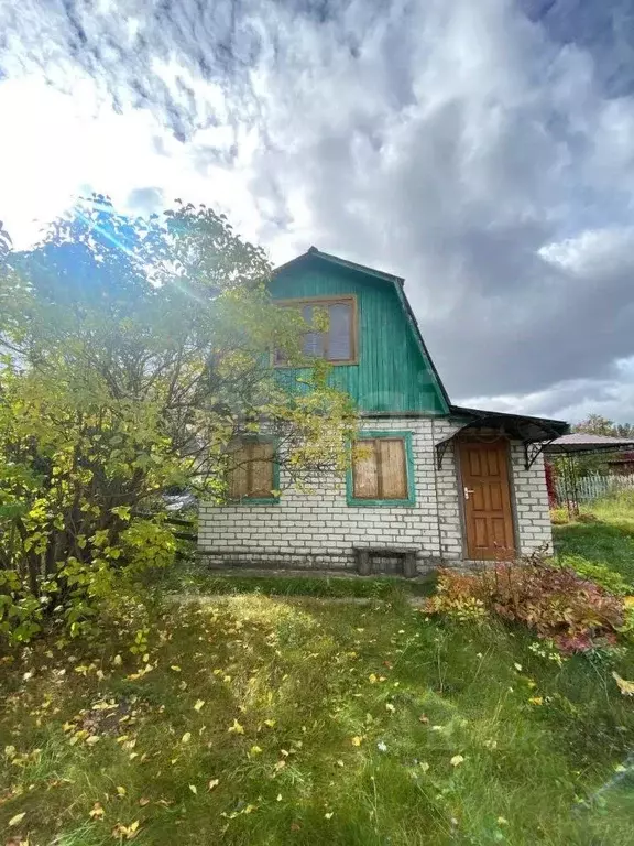 Дом в Брянская область, Жуковский муниципальный округ, Сосновый Бор ... - Фото 1