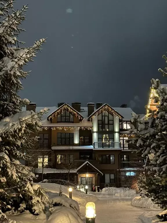 3-к кв. Московская область, Истра муниципальный округ, с. Павловская ... - Фото 1