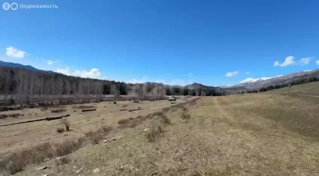 Участок в Усть-Коксинский район, село Тюнгур (100.02 м) - Фото 1