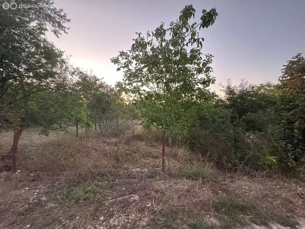 Участок в Крымский район, Киевское сельское поселение, СТ Дружба, ... - Фото 1