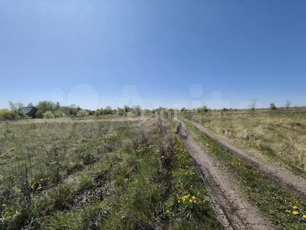 Участок 9 сот. (СНТ, ДНП) - Фото 0
