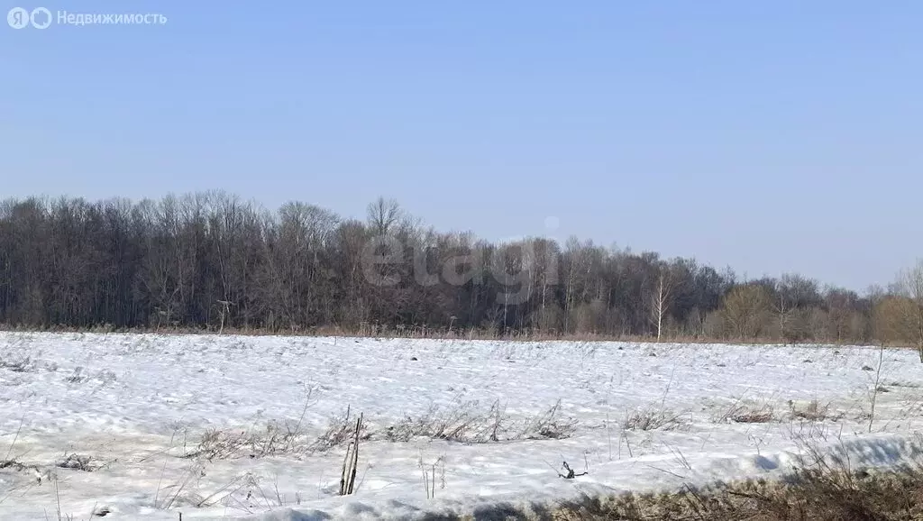 Участок в Тула, Привокзальный территориальный округ (10 м) - Фото 2