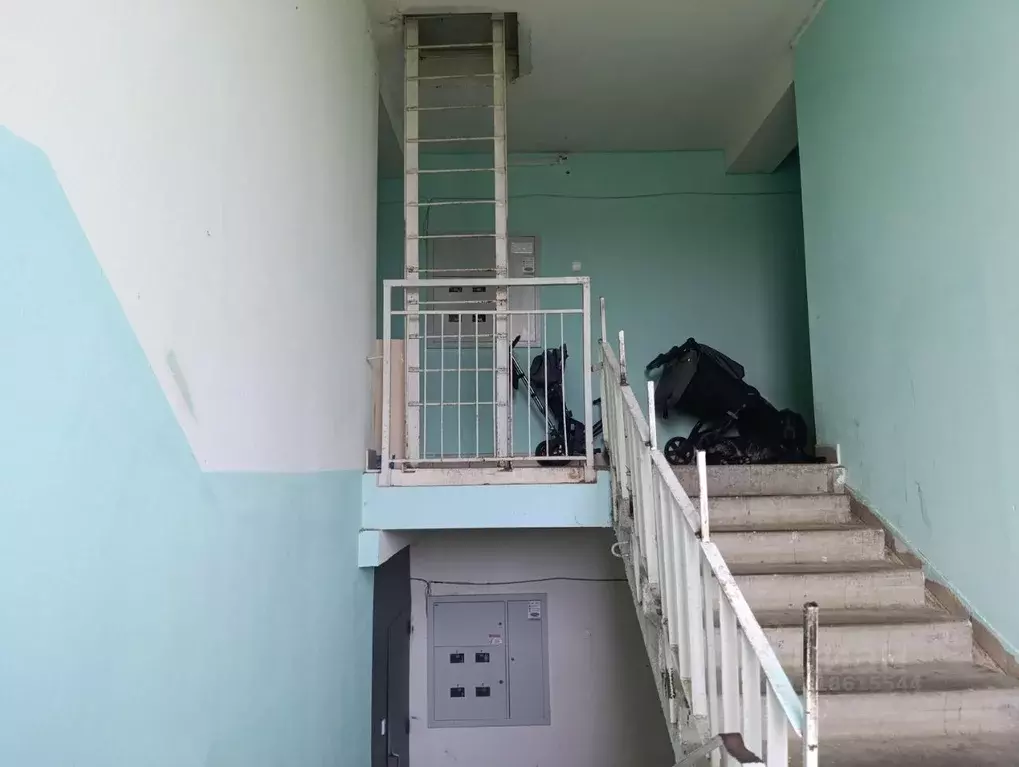 1-к кв. Нижегородская область, Бор Боталово-4 жилрайон, ул. ... - Фото 1