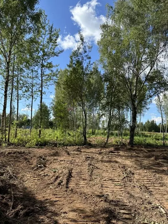 Участок в Новгородская область, Новгородский район, Бронницкое с/пос, ... - Фото 0