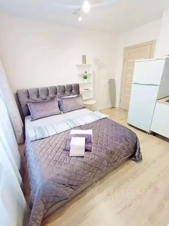 Студия Московская область, Люберцы ул. Солнечная, 6 (20.0 м) - Фото 2