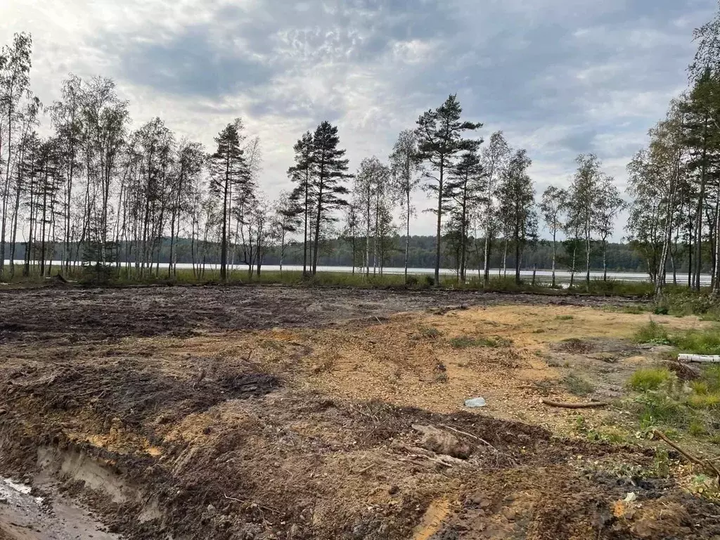 Участок в Ленинградская область, Всеволожский район, Токсовское ... - Фото 2