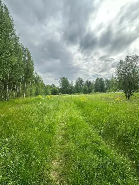 Участок в Ленинградская область, Всеволожский район, Колтушское ... - Фото 1