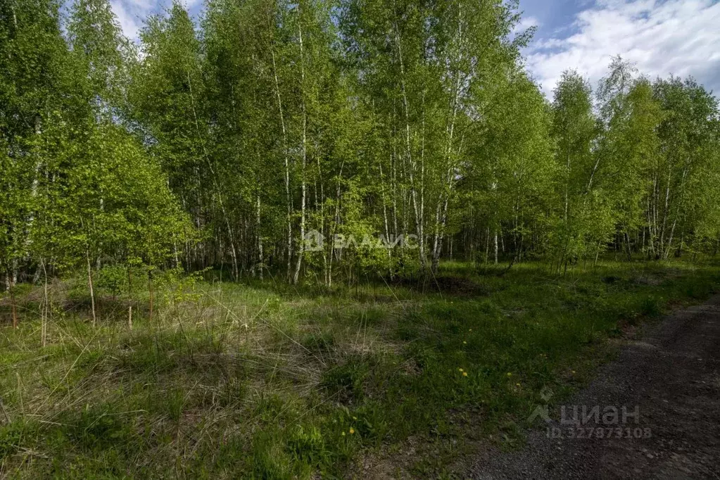 Участок в Нижегородская область, Нижний Новгород д. Майдан, ул. ... - Фото 2