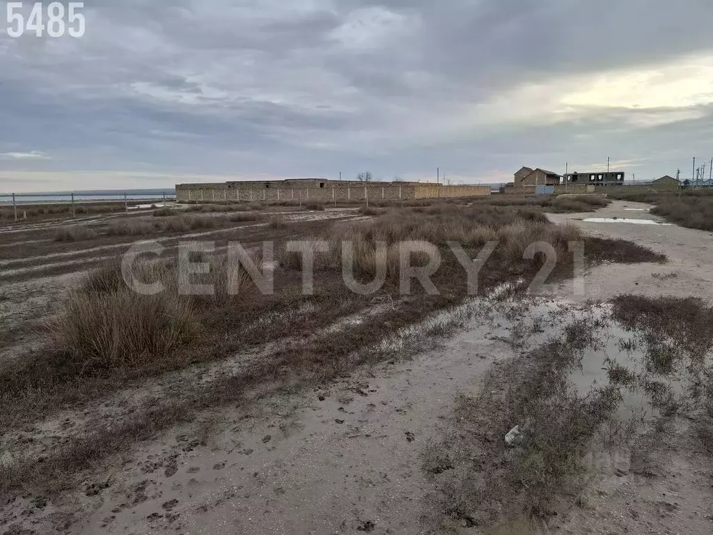 Участок в Крым, Черноморский район, с. Межводное ул. Пограничный ... - Фото 2