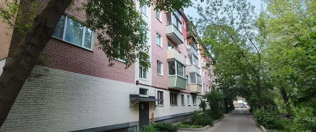2-к кв. Московская область, Пушкино ул. Тургенева, 2 (42.0 м) - Фото 2