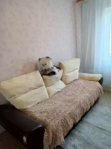 Комната 13 м в 3-к., 5/9 эт. - Фото 0