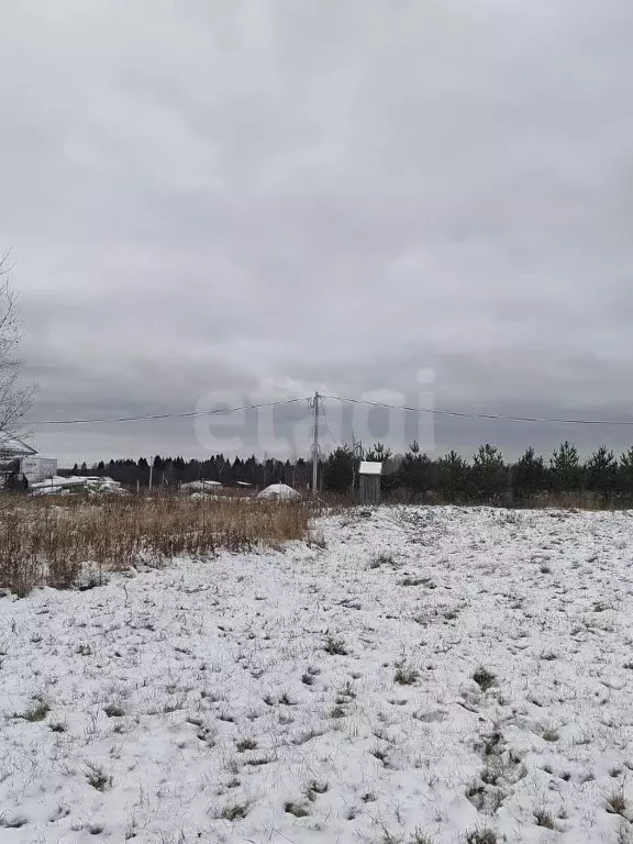 Участок в Костромская область, Красносельский район, Гридинское с/пос, ... - Фото 1