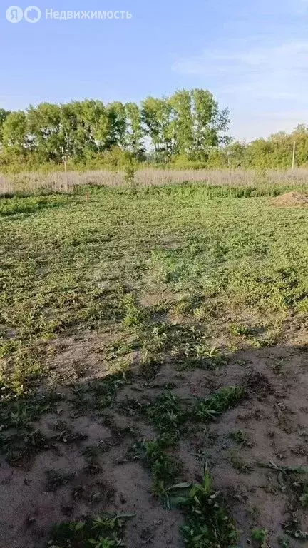 Участок в село Ленинское, территория Овощная (5 м) - Фото 0