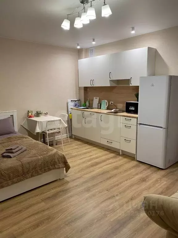 Студия Тюменская область, Тюмень ул. Николая Никитина, 8 (26.7 м) - Фото 1