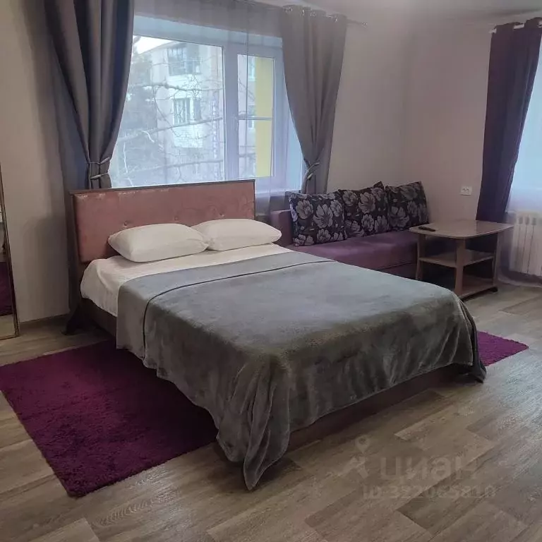 1-к кв. Камчатский край, Елизово ул. Беринга, 10 (30.0 м) - Фото 1