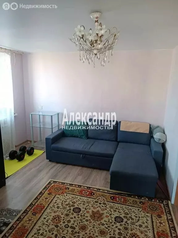 1-комнатная квартира: Санкт-Петербург, улица Сикейроса, 15к1 (36.3 м) - Фото 2