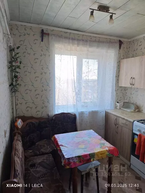 2-к кв. Московская область, Кашира городской округ, пос. Богатищево ... - Фото 2