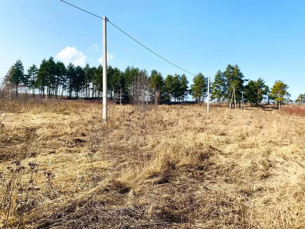 Участок в Владимирская область, Суздальский район, Новоалександровское ... - Фото 1