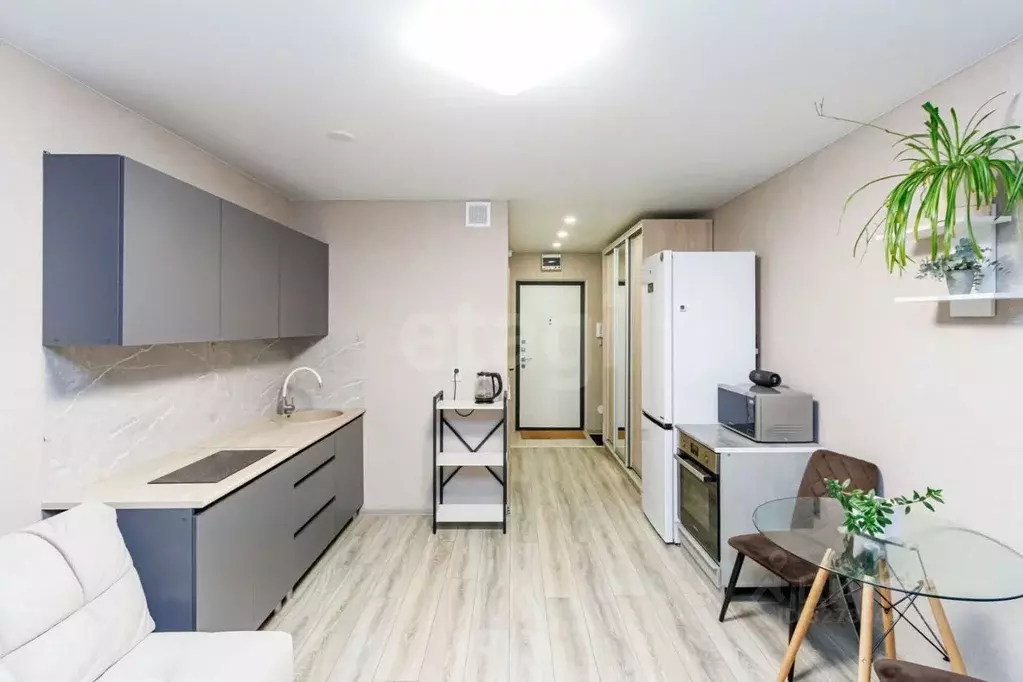 Студия Тюменская область, Тюменский муниципальный округ, д. Патрушева ... - Фото 1