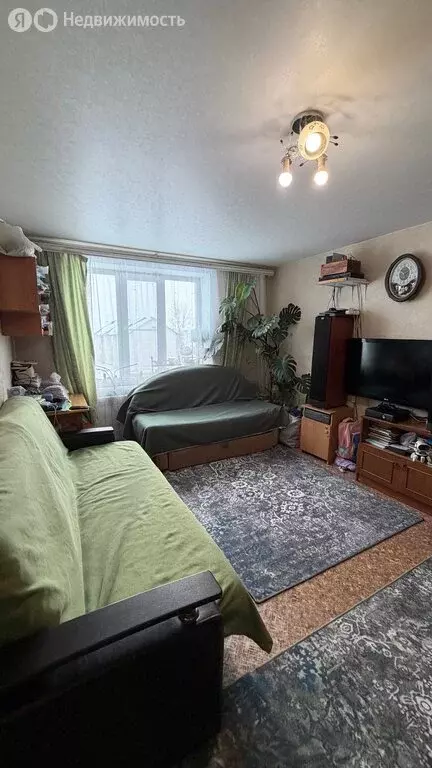 1-комнатная квартира: посёлок Приамурский, Амурская улица, 12А (33.5 ... - Фото 1