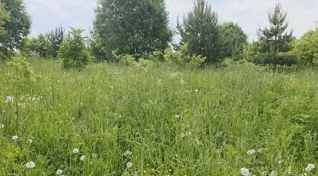 Участок в Московская область, Щелково городской округ, с. Рязанцы  ... - Фото 1