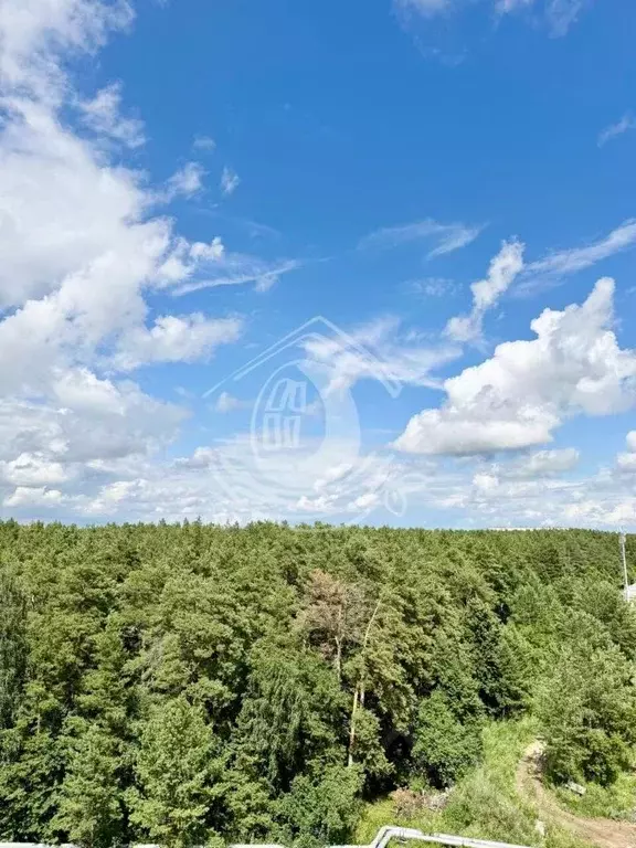2-к кв. Алтайский край, Барнаул ул. 6-я Нагорная, 15Г/5 (42.0 м) - Фото 0