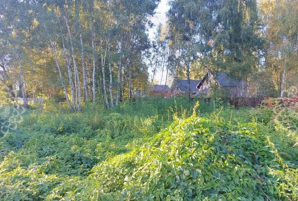 Участок в Московская область, Богородский городской округ, с. ... - Фото 1