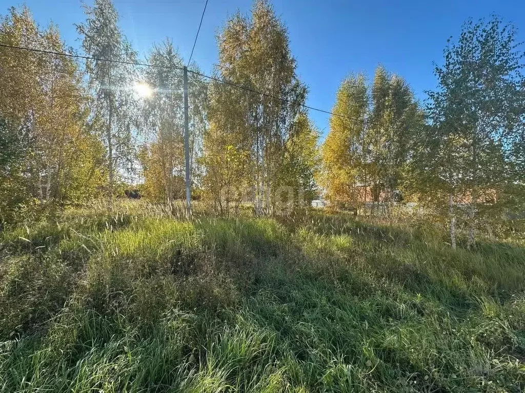 Участок в Татарстан, Верхнеуслонский район, Введенско-Слободское ... - Фото 0