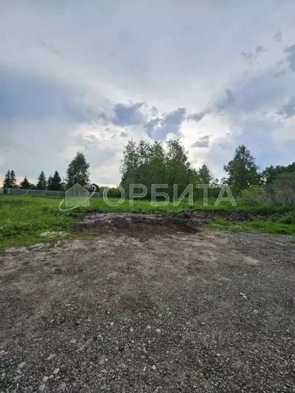 Участок в Тюменская область, Тюмень Лаванда садовое товарищество,  ... - Фото 1