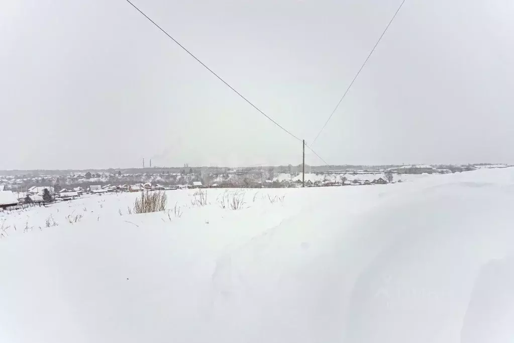 Участок в Новосибирская область, Искитим ул. Квартал 1-й Березняки, ... - Фото 1