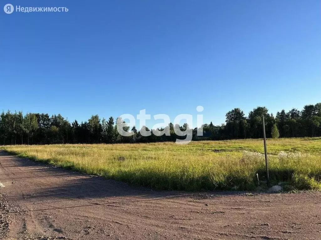 Участок в Лесколовское сельское поселение, массив Ойнелово (10 м), Купить  земельный участок в Всеволожском районе, ID объекта - 20006489323