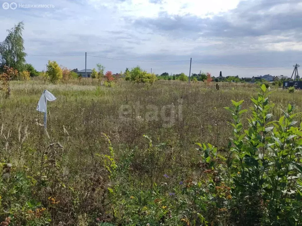 Участок в Борисоглебск, улица Станислава Ступникова (6.5 м) - Фото 1