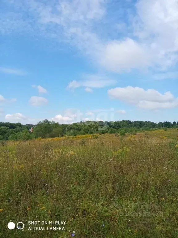 Участок в Тульская область, Богородицкий район, Бегичевское ... - Фото 1