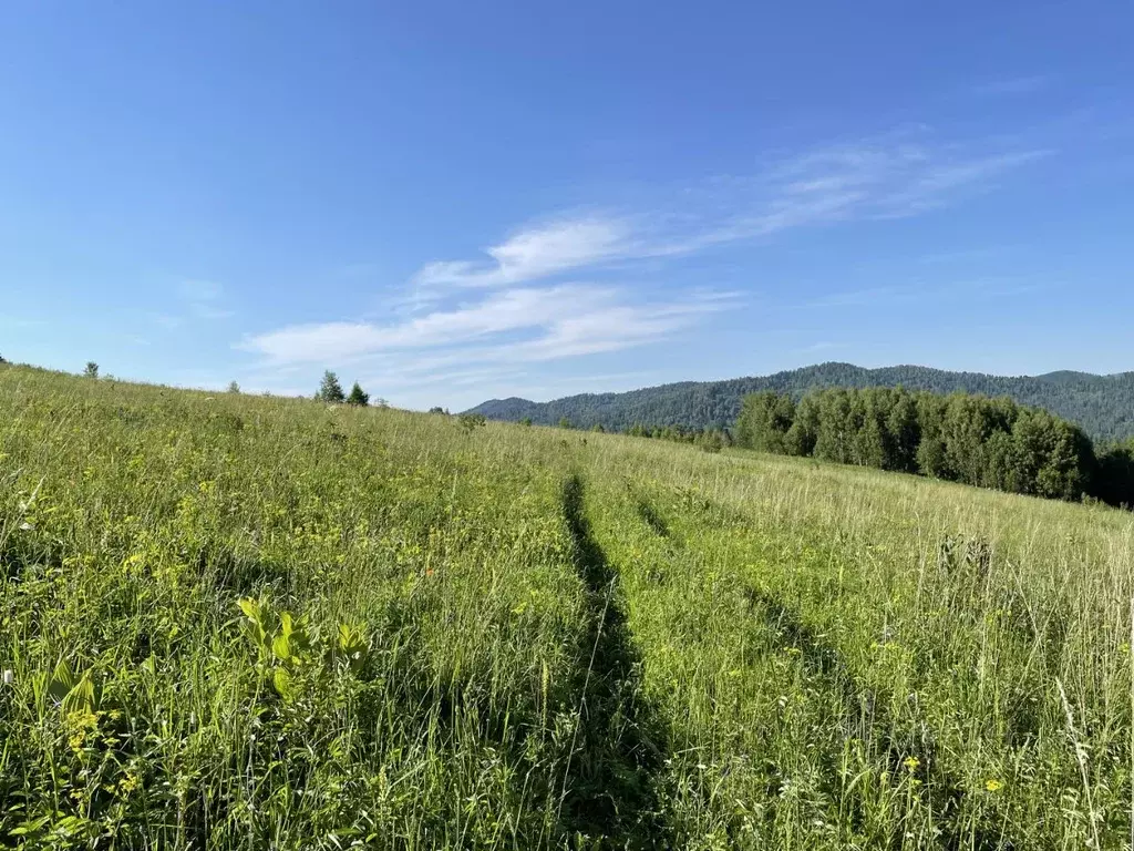 Участок в Алтай, Чемальский район, Седьмое небо кп  (17.88 сот.) - Фото 1