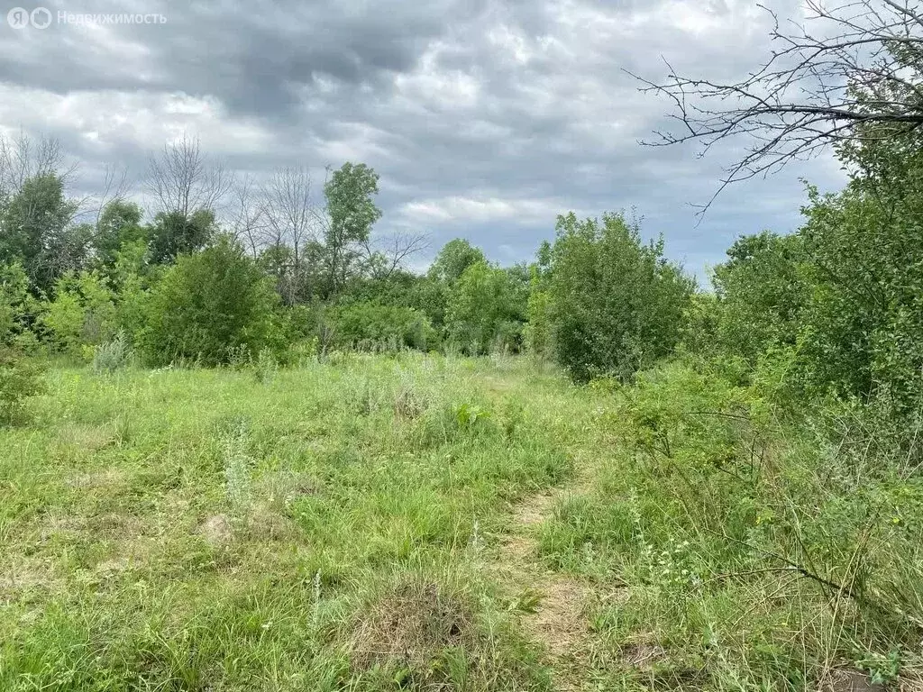 Участок в Воронеж, Туровская улица (15 м) - Фото 2