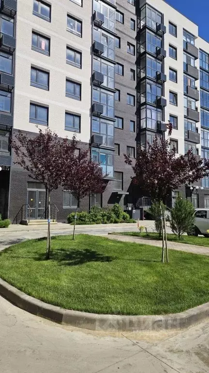 Студия Краснодарский край, Темрюк Дальняя ул., 30 (25.0 м) - Фото 1