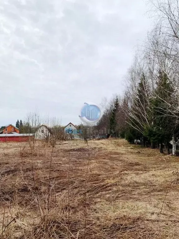 Участок в Москва Первомайское поселение, д. Пучково, ул. Весенняя ... - Фото 1