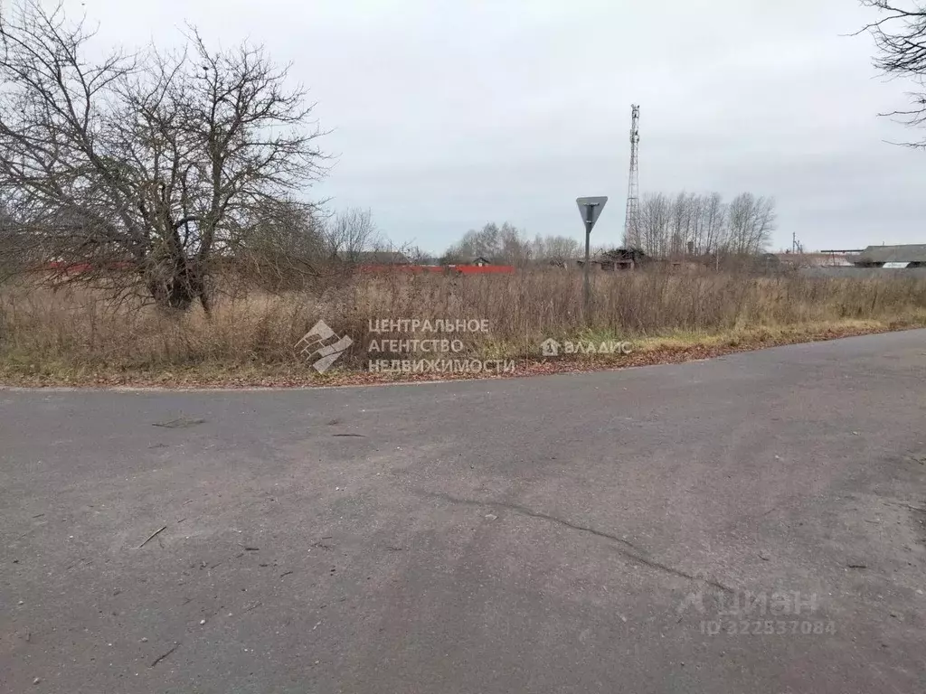 Участок в Рязанская область, Касимовский муниципальный округ, с. ... - Фото 1