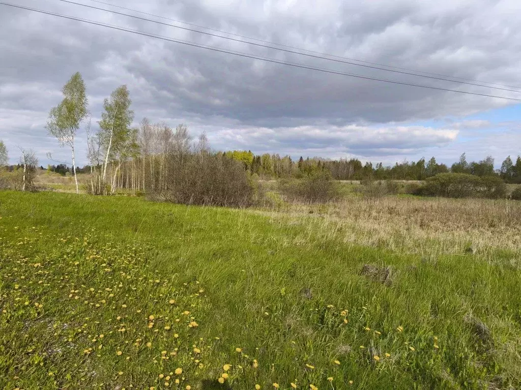 Участок в Псковская область, Островский район, Горайская волость, д. ... - Фото 1